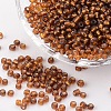 8/0 Glass Seed Beads X1-SEED-A005-3mm-53-1