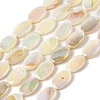Natural Freshwater Shell Beads Strands BSHE-H018-06-1