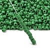 TOHO 6/0 Round Beads X-SEED-TR06-0047D-2