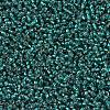 MIYUKI Round Rocailles Beads SEED-JP0008-RR0030-3