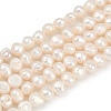 Natural Cultured Freshwater Pearl Beads Strands PEAR-P064-20B-05A-2