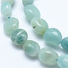 Natural Amazonite Beads Strands G-E483-53A-3