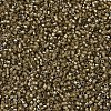 MIYUKI Delica Beads SEED-MY11-DB0288-3