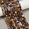Natural Alashan Agate Beads Strands G-P568-C07-01-1