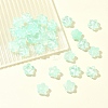 30Pcs Baking Paint Glass Beads GLAA-FS0001-99D-7