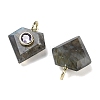 Natural Labradorite Faceted Pendants G-F819-03G-06-2