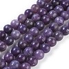Natural Lepidolite/Purple Mica Stone Beads Strands G-E545-01B-1