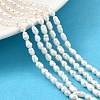 Natural Cultured Freshwater Pearl Beads Strands PEAR-I007-01O-01D-1