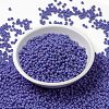 MIYUKI Round Rocailles Beads SEED-X0055-RR0417L-2