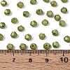 Baking Paint Pearlized Glass Seed Beads SEED-T007-21A-14-4
