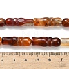 Natural Agate Beads Strands G-Z144-A02-01G-5