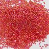 6/0 Round Glass Seed Beads SEED-J011-F6-165B-2