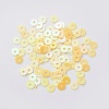 Ornament Accessories Plastic Paillette/Sequins Beads PVC-E001-03-RC01-2