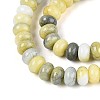 Glass Beads Strands GLAA-N059-5x8mm-32-3