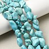 Natural Green Turquoise Beads Strands G-N0312-01-7