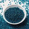 MIYUKI Round Rocailles Beads SEED-G008-RR3537-2