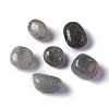 Natural Labradorite Beads G-O188-01-3
