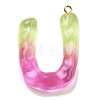 Resin Pendant FIND-Q107-01U-03-1