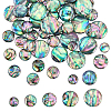 16Pcs 4 Styles Natural Paua Shell Cabochons SHEL-WR0001-13-1