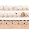 Natural Freshwater Shell Beads Strands SHEL-T011-02-8mm-4