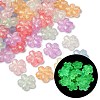 Luminous Transparent Acrylic Beads LACR-S001-15B-1