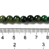 Dyed Natural Tiger Eye Beads Strands G-G102-A01-02-5