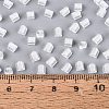 FGB Grade A Frosted Glass Seed Beads SEED-Q040-04A-12-6