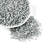 Drawbench Style Glass Seed Beads SEED-N008-11J-1