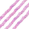 1 Strand Natural Freshwater Shell Dyed Beads Strands SHEL-TA0001-44B-2
