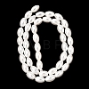 Electroplated Shell Pearl Beads Strands BSHE-C010-02-2