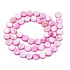Freshwater Shell Beads Strands SHEL-T009-B16-03-2