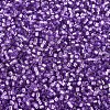 MIYUKI Delica Beads SEED-MY11-DB1343-3