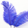 Ostrich Feather Ornament Accessories FEAT-PW0001-002F-1