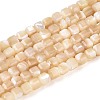 Natural Trochid Shell/Trochus Shell Beads Strands BSHE-T014-52A-02-1