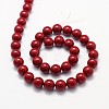 Shell Pearl Beads Strands BSHE-L026-01-10mm-01-2