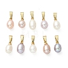 Natural Cultured Freshwater Pearl Pendants PALLOY-JF05324-1