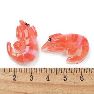 Resin Cabochons RESI-R456-04A-1