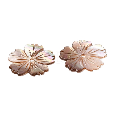 Natural Sea Shell Beads SHEL-F007-21-1