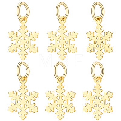 6Pcs 925 Sterling Silver Charms PALLOY-PH01951-1