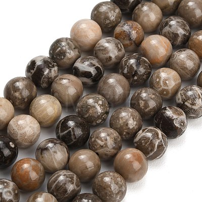 Natural Fossil Coral Beads Strands G-C288-A01-10mm-1