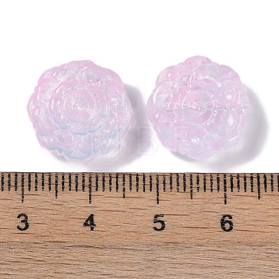 Painted Glass Beads GLAA-S202-14B-1