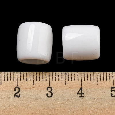 Opaque Acrylic European Beads SACR-L007-010-1