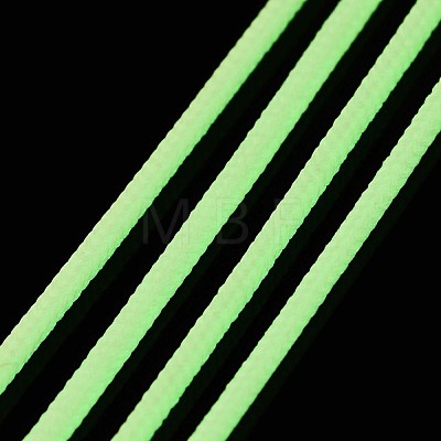 Luminous Polyester Braided Cords OCOR-T015-01Q-1