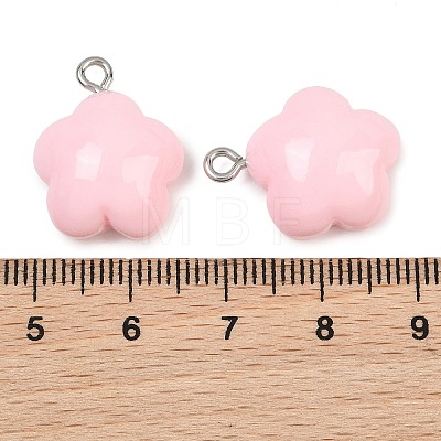 Opaque Resin Pendants RE-CBAF00C-12-1