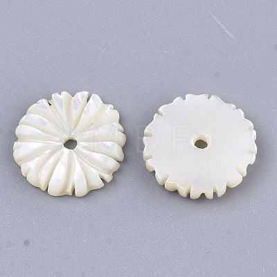 Natural White Shell Beads SSHEL-R045-23-1