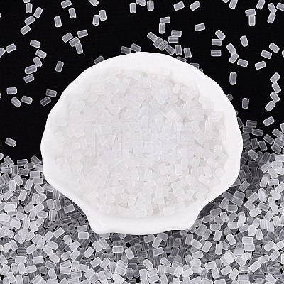 FGB Frosted Transparent Glass Seed Beads SEED-N013-05A-01-1