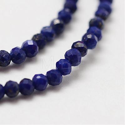 Natural Lapis Lazuli Bead Strands G-P270-2mm-19-1