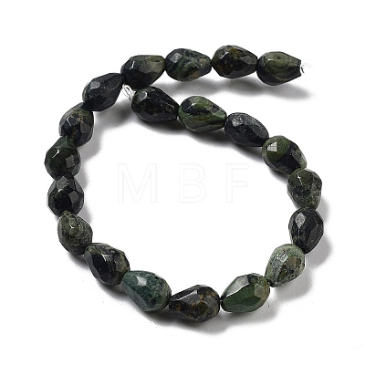 Natural Kambaba Jasper Beads Strands G-P520-B19-01-1