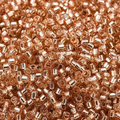 Glass Seed Beads SEED-S042-04B-17-1