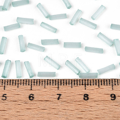 Glass Bugle Beads SEED-N007-28F-1